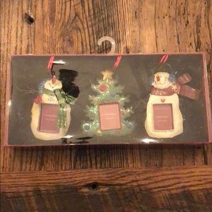 Picture ornaments new